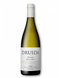 Vinho Branco DRUIDA Encruzado Reserva 2020
